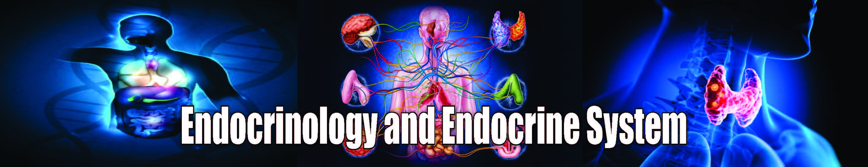 Endocrinology and Endocrine System