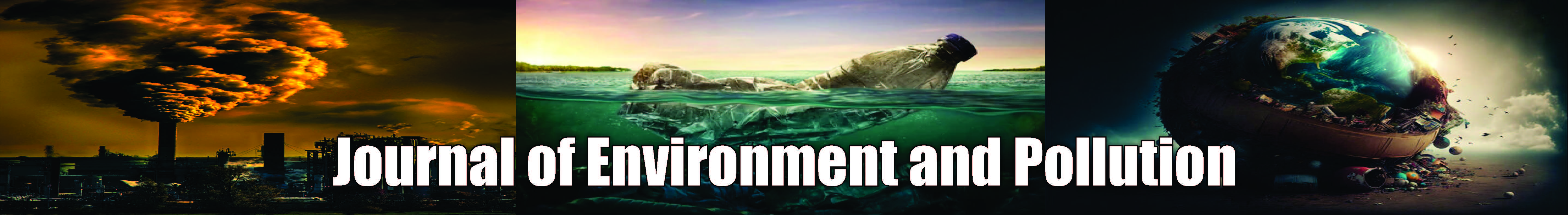 Journal of Environment and Pollution