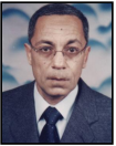 Baher Abdel Khalek Mahmoud Effat